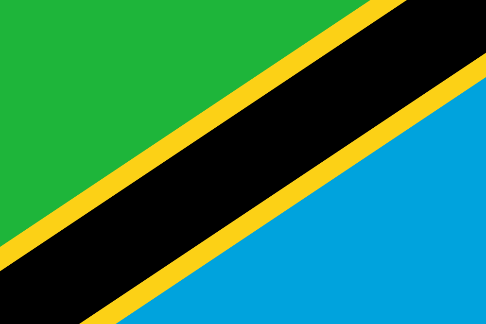 Tanzania Flag - Country Flags DTF Transfers