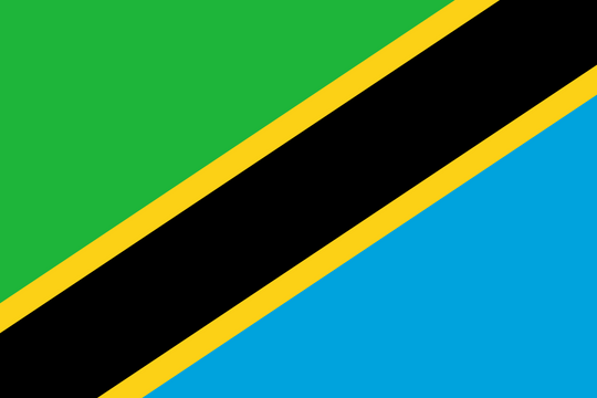 Tanzania Flag - Country Flags DTF Transfers