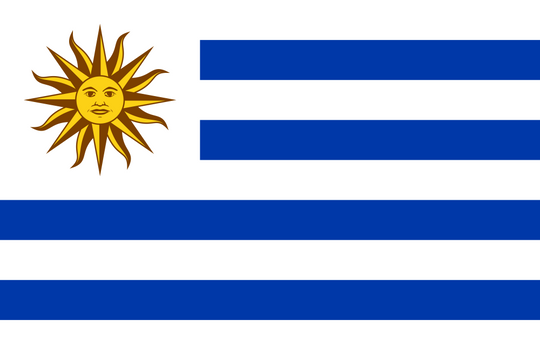 Uruguay Flag - Country Flags DTF Transfers