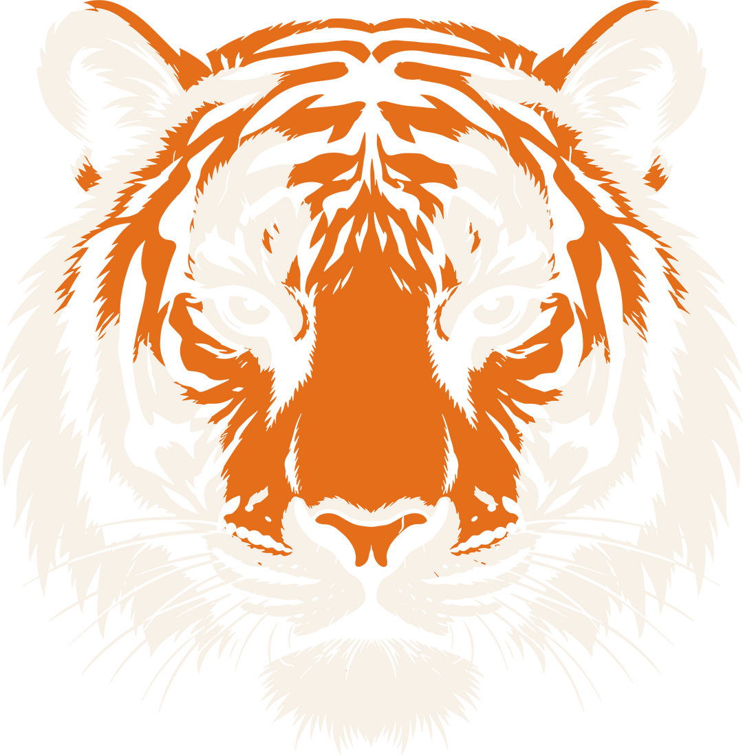 Tiger Face - Animals DTF Transfers