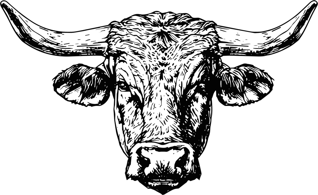 Bull B&W Face - Animals DTF Transfers