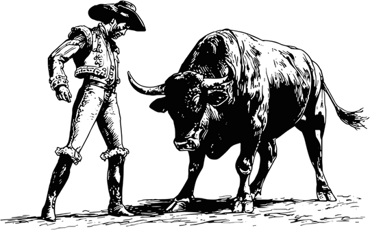 Matador & Bull - Animals DTF Transfers