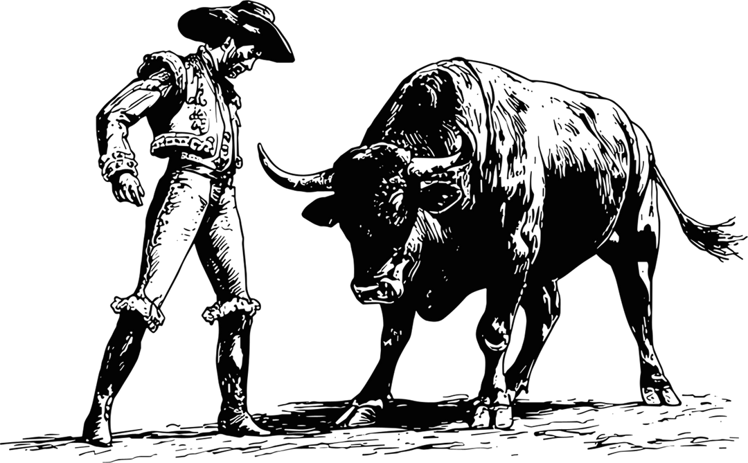 Matador & Bull - Animals DTF Transfers