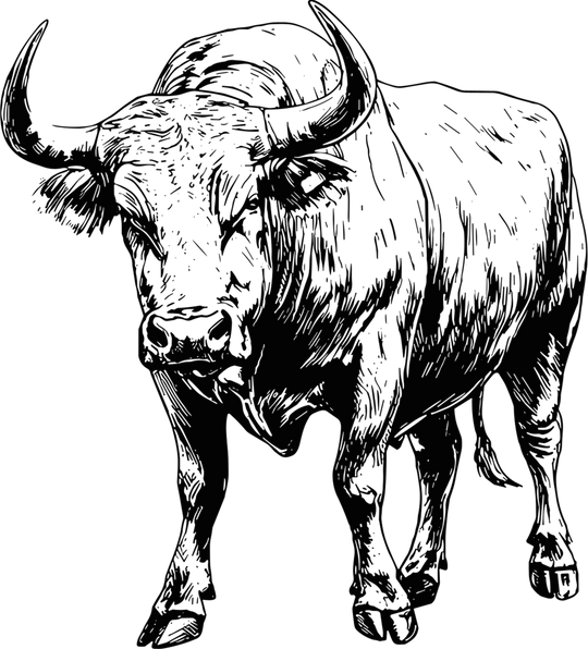 Bull Standing - Animals DTF Transfers