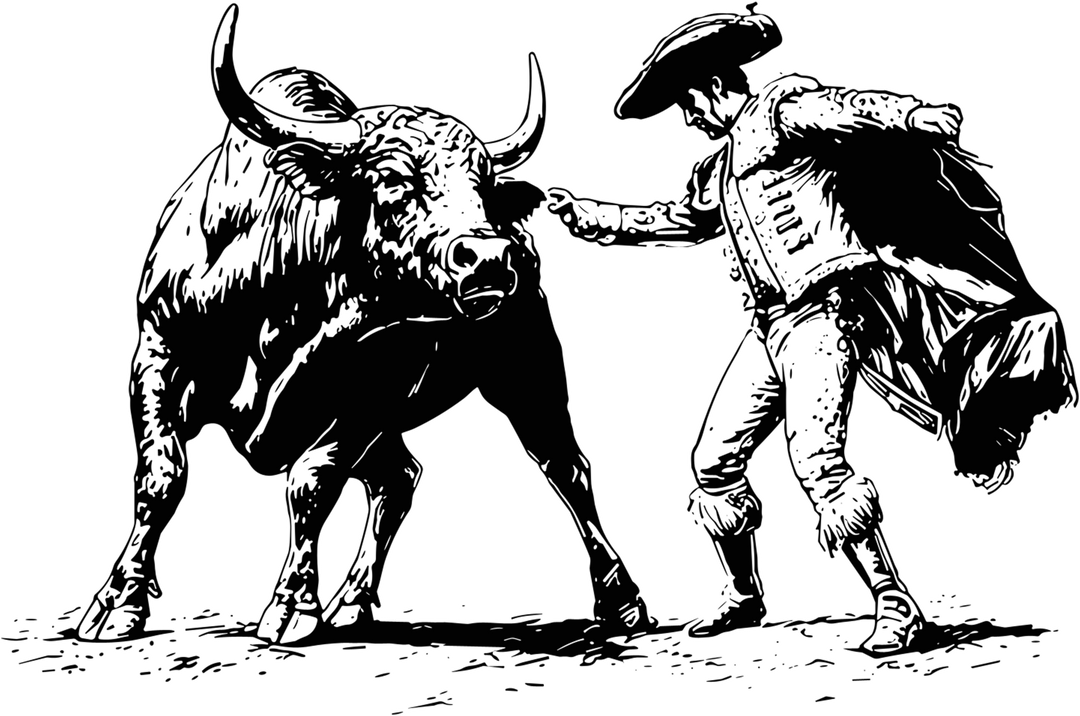 Bull & Matador - Animals DTF Transfers
