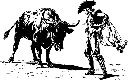 Bull And Matador B&W - Animals DTF Transfers