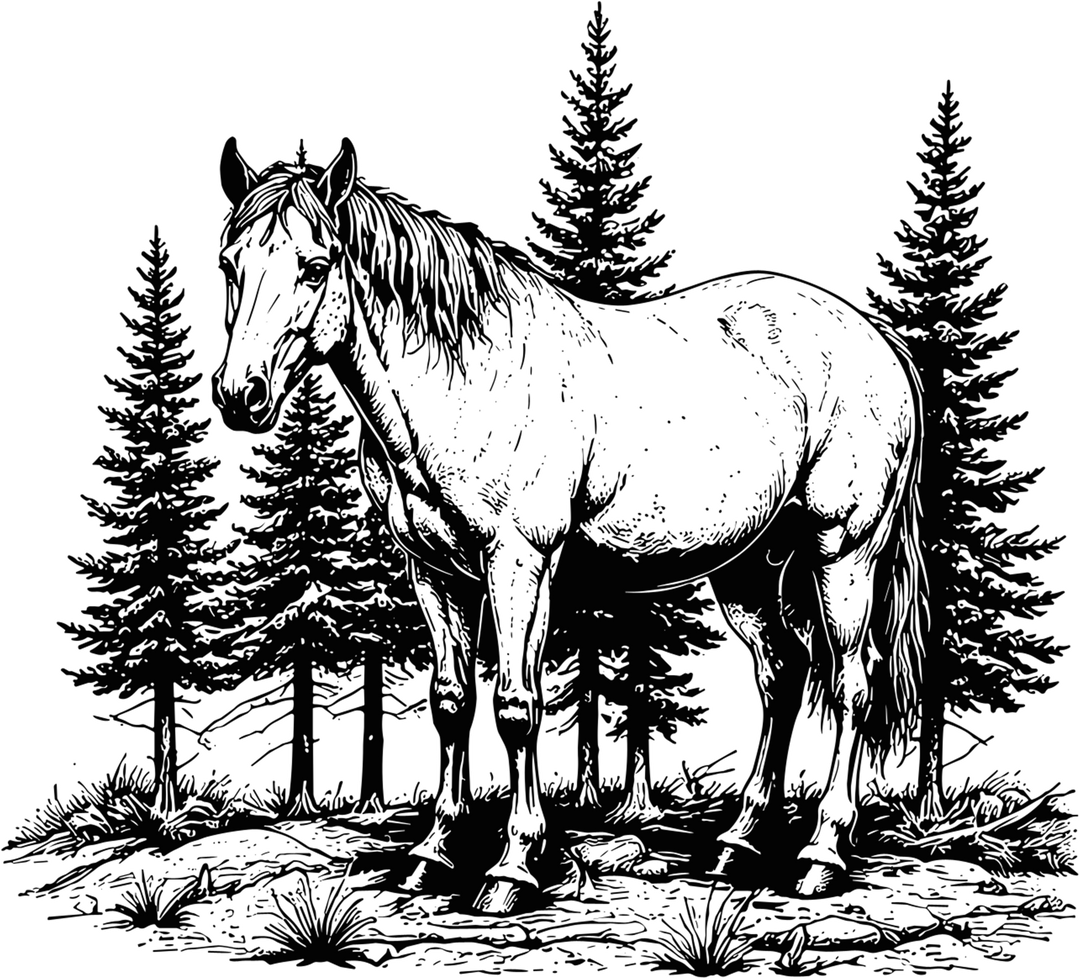 Horse In Wild - Animals DTF Transfers