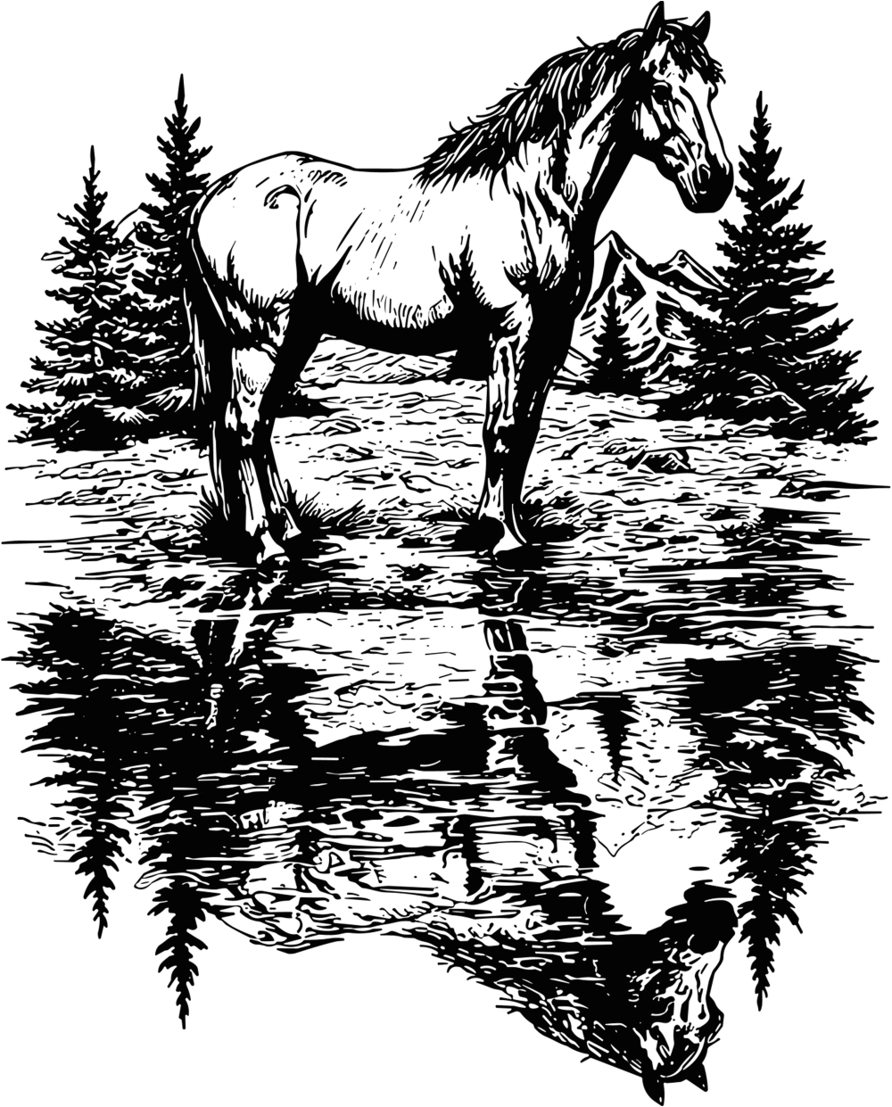 Horse Reflection - Animals DTF Transfers