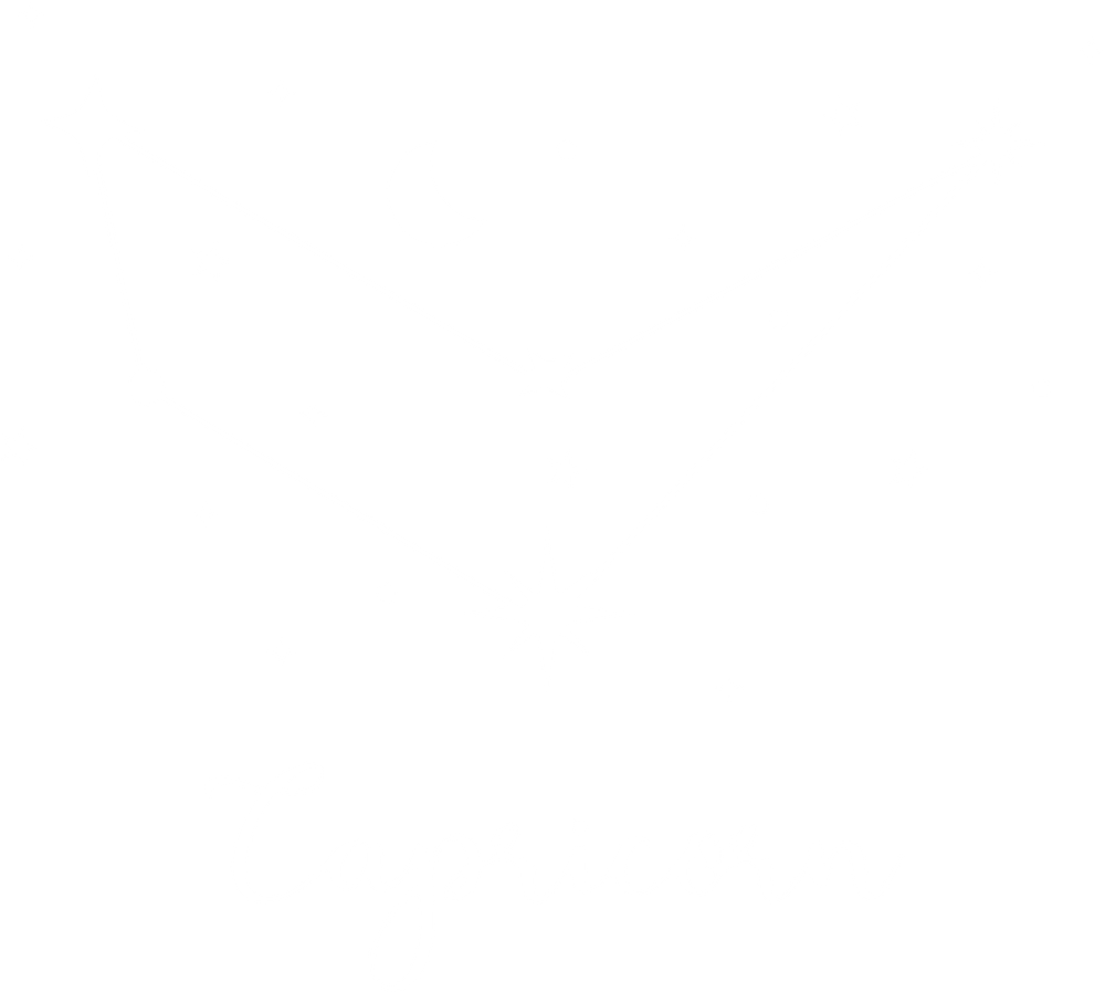 Capricorn Constellations - Zodiacs & Horoscopes DTF Transfers
