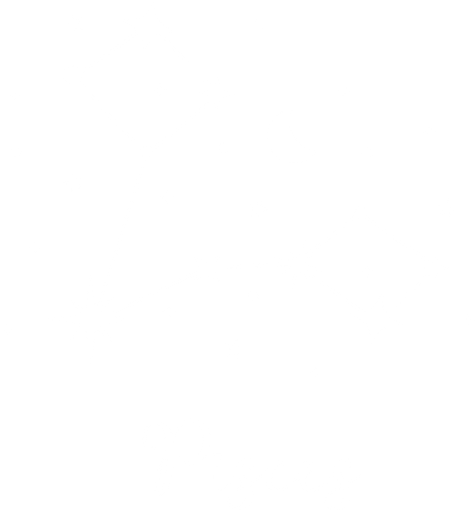 Pisces Constellations - Zodiacs & Horoscopes DTF Transfers