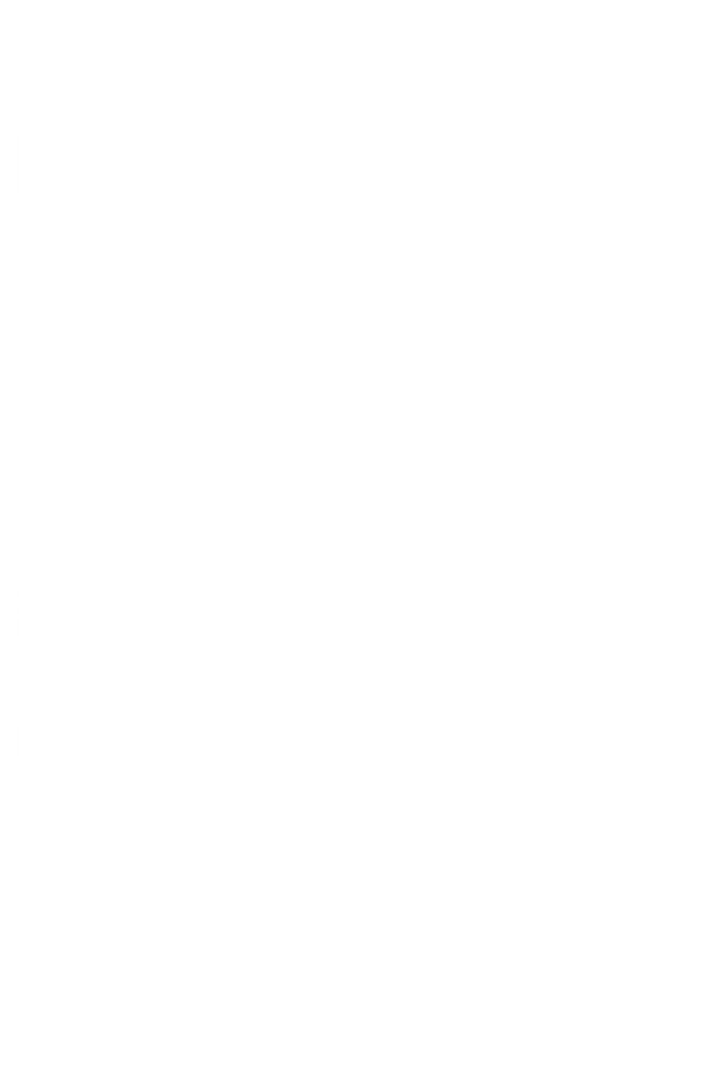 Wrangell-St.Elias National Park Design - National Parks DTF Transfers