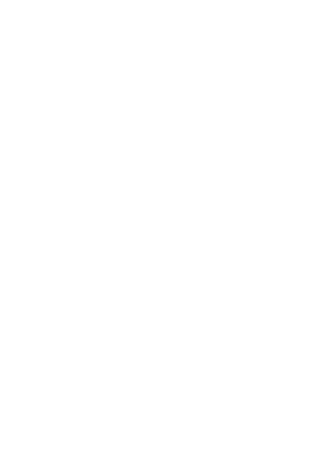 Denali  National Park Design - National Parks DTF Transfers