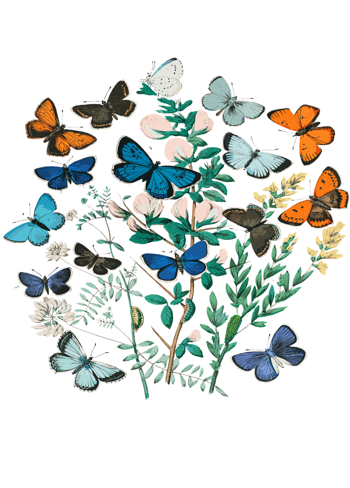 Trust God's Plan His Timing Is Perfect - Christianity DTF Transfer