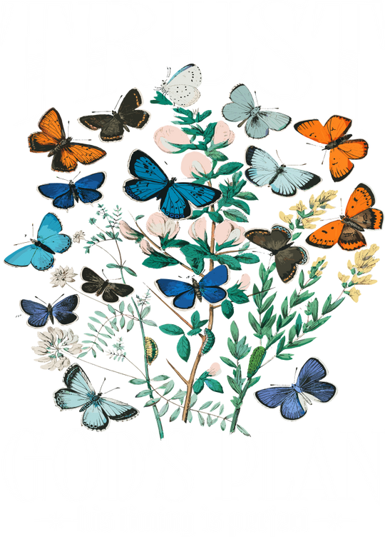 Trust God's Plan His Timing Is Perfect - Christianity DTF Transfer