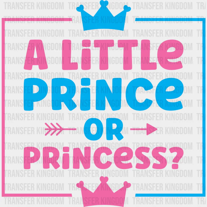 A Little Prince Or Princess - Gender Reveal DTF Transfer