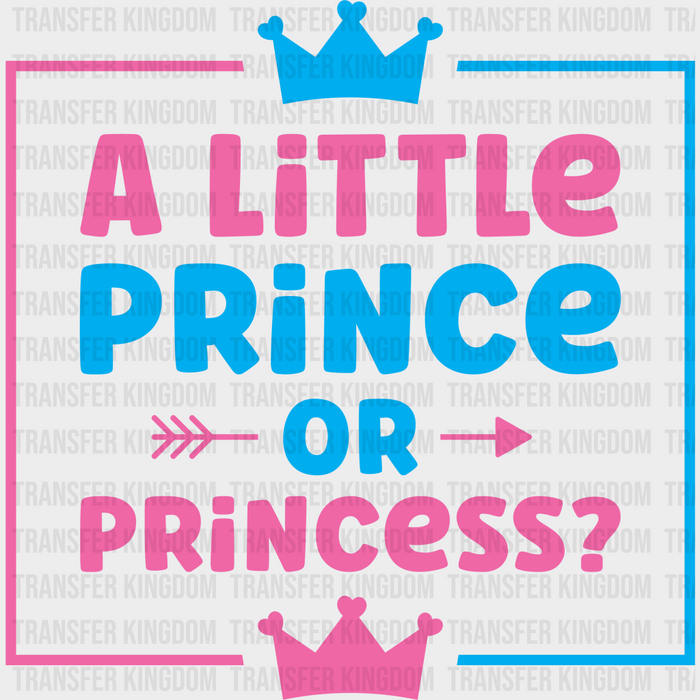 A Little Prince Or Princess - Gender Reveal DTF Transfer
