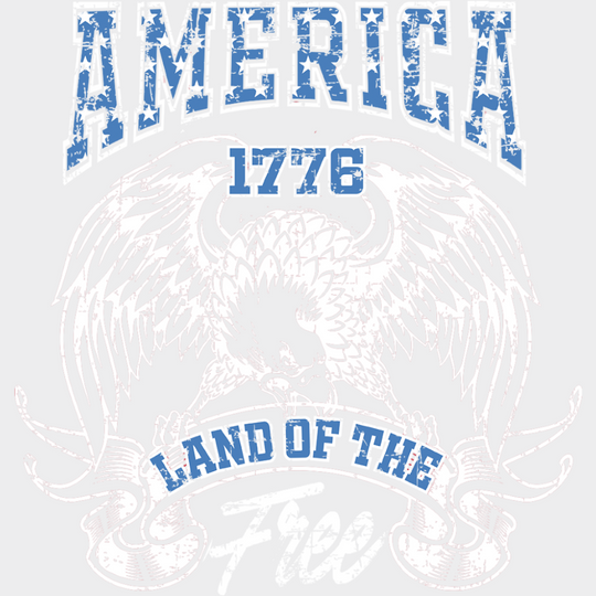 America 1776 Land Of The Free Hawk - 4th Of July DTF Transfer Adult Unisex - S & M (10’’) / Light Color Design (See