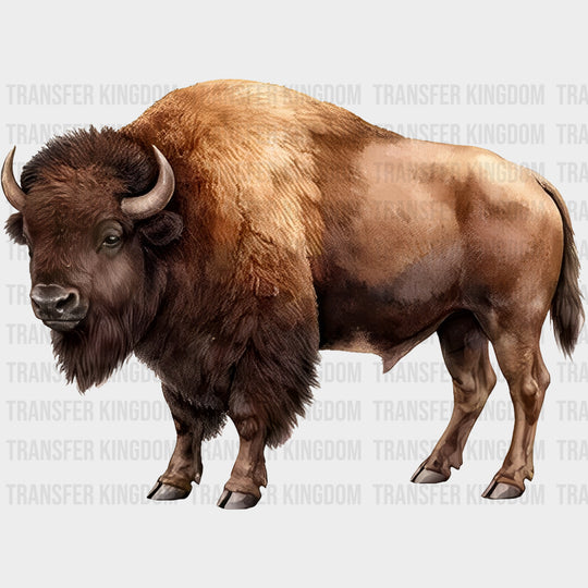 American Bison - Animals DTF Transfers