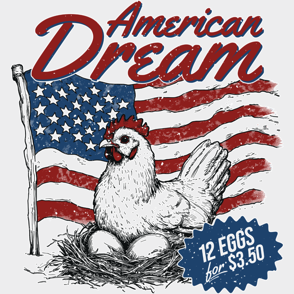 American Dream 12 Eggs For 3.50 - 4th Of July DTF Transfer Adult Unisex - S & M (10’’) / Light Color Design (See