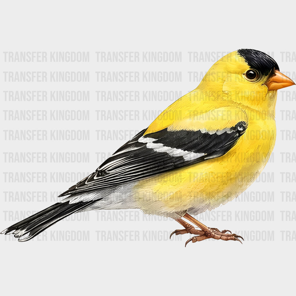 American Goldfinch - Animals DTF Transfers