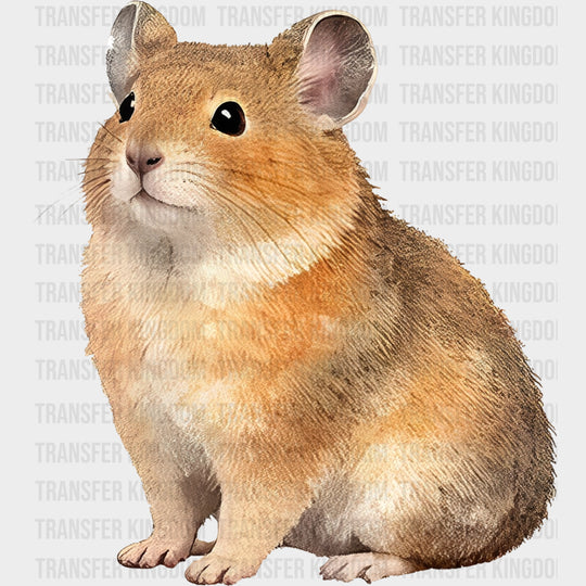 American Pika - Animals DTF Transfers