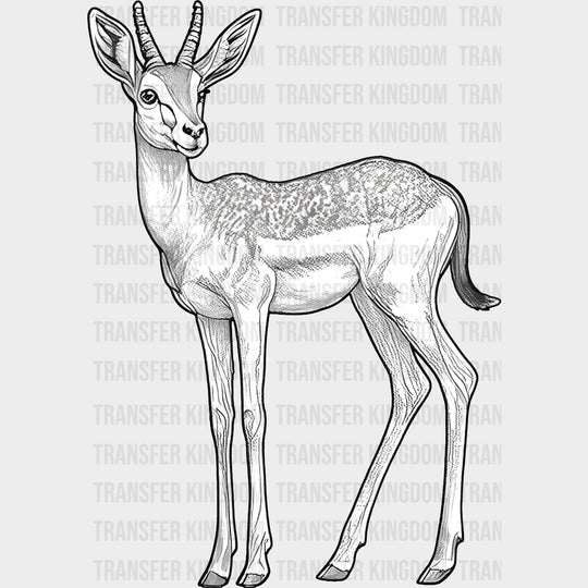 Antelope B&W - Animals DTF Transfers - Adult Unisex - S & M (10’’) / Dark Color Design (See Imaging)