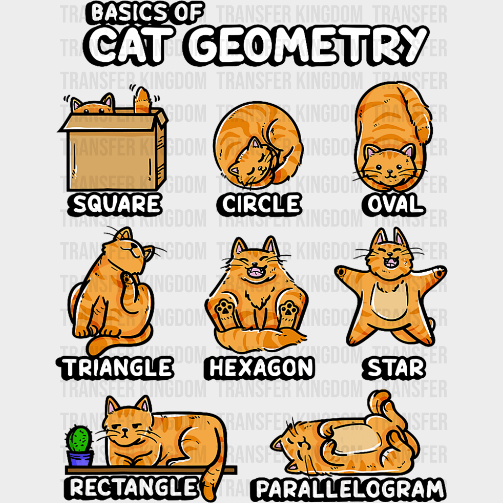 Basics Of Cat Geometry - Cats DTF Transfer