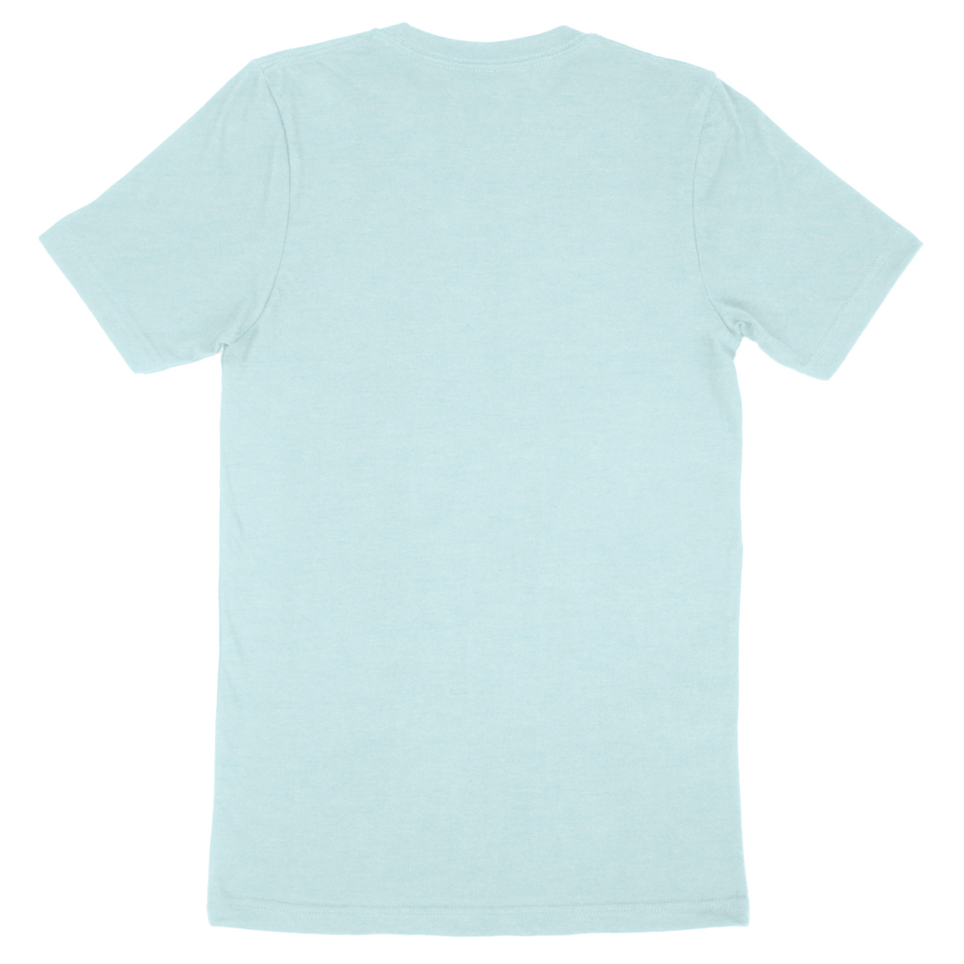 Custom Bella + Canvas Adult T-Shirt 3001