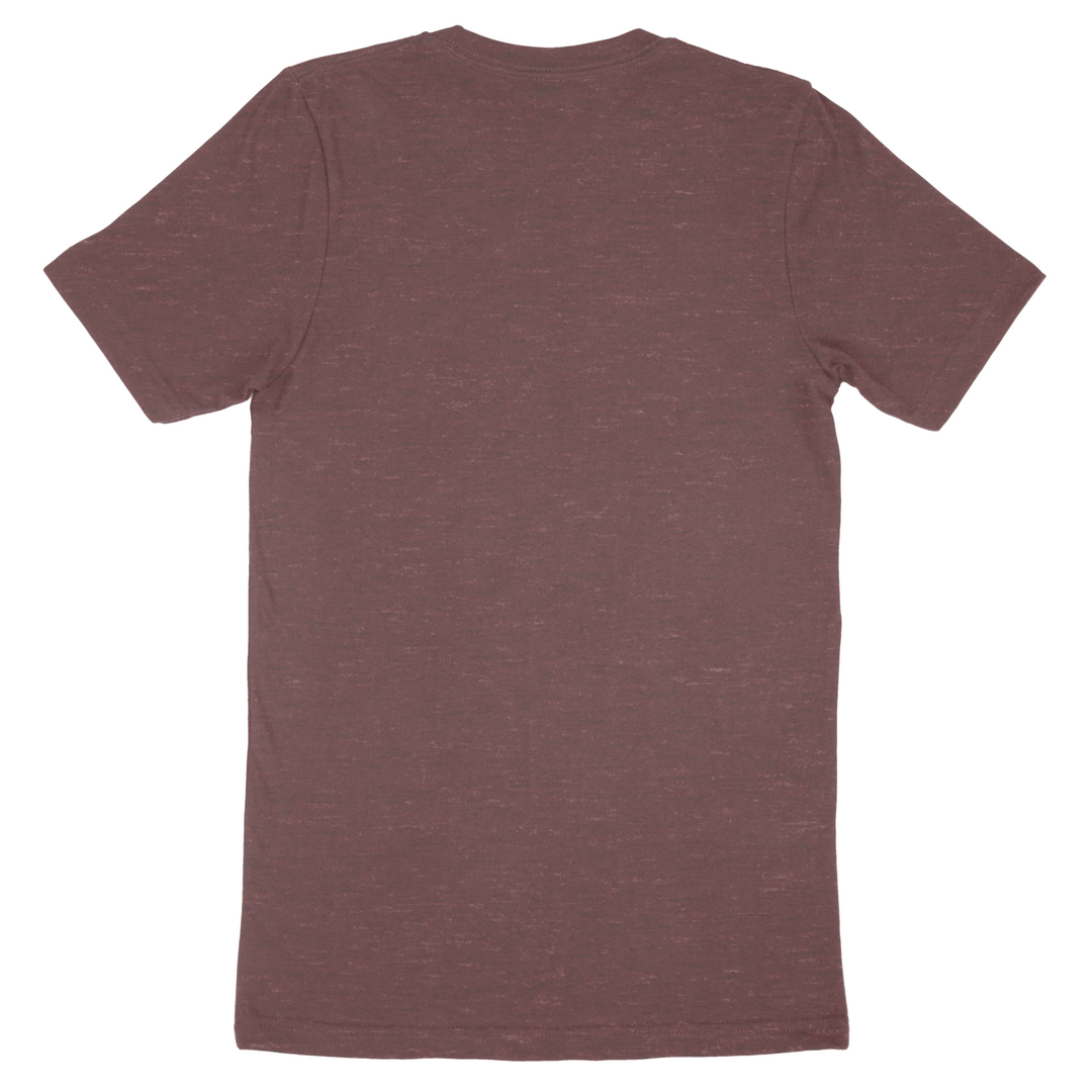 Custom Bella + Canvas Adult T-Shirt 3001