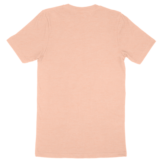 Custom Bella + Canvas Adult T-Shirt 3001