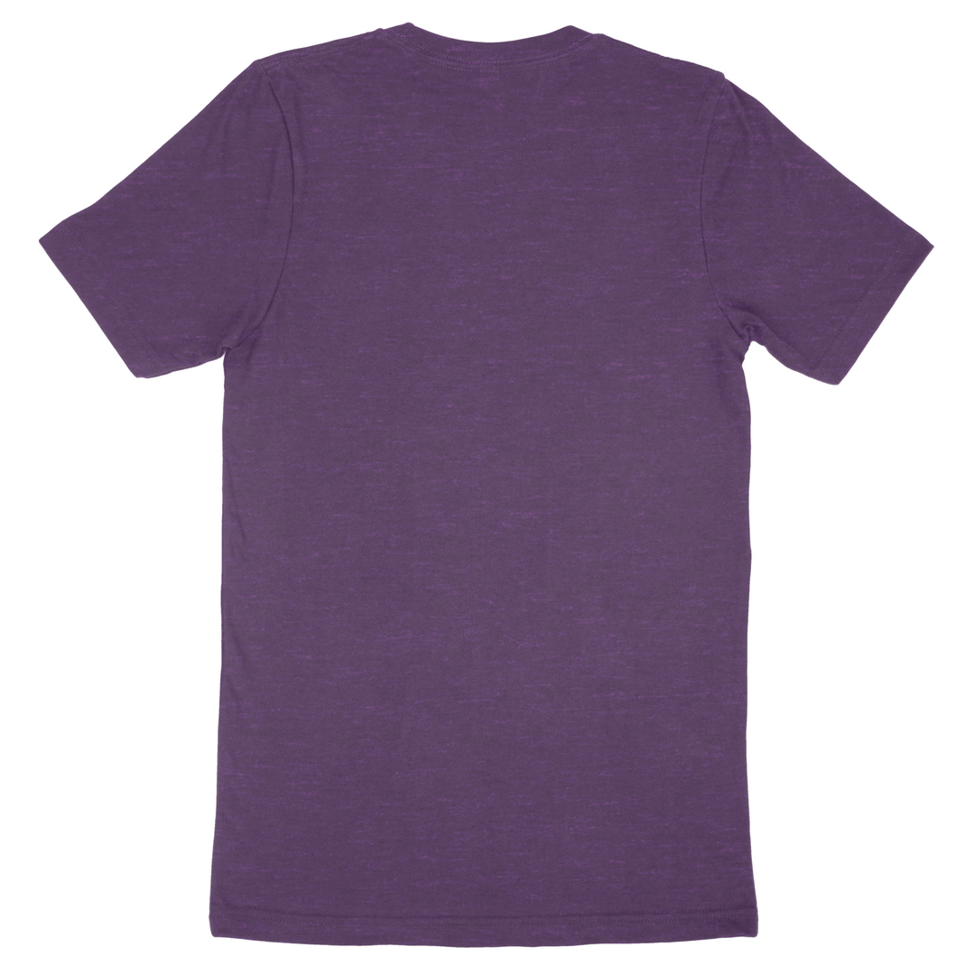 Custom Bella + Canvas Adult T-Shirt 3001