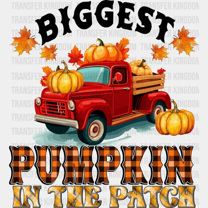 Biggest Pumpkin In The Patch - Fall DTF Transfer