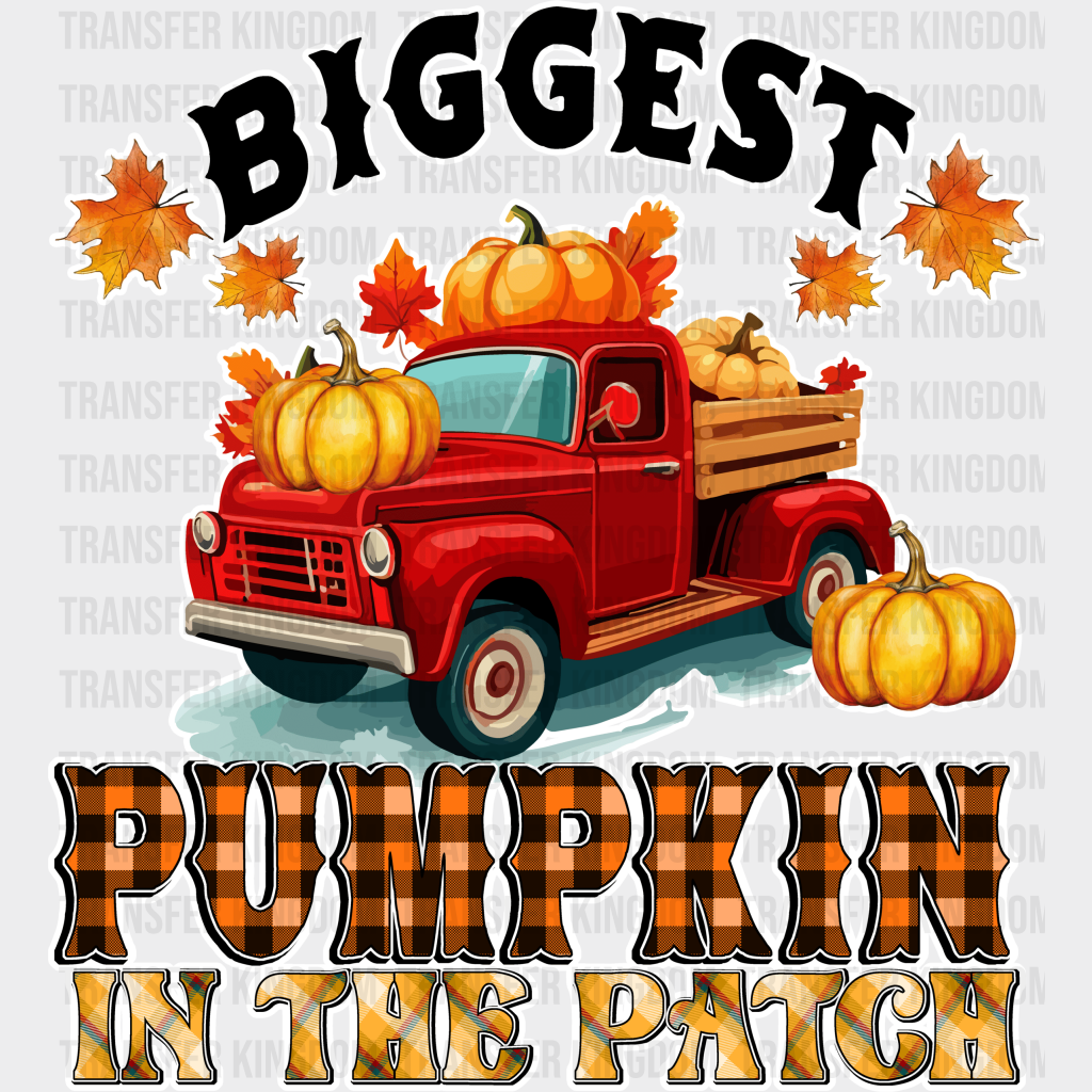 Biggest Pumpkin In The Patch - Fall Dtf Transfer Unisex S & M (10’’) / Light Color Design See