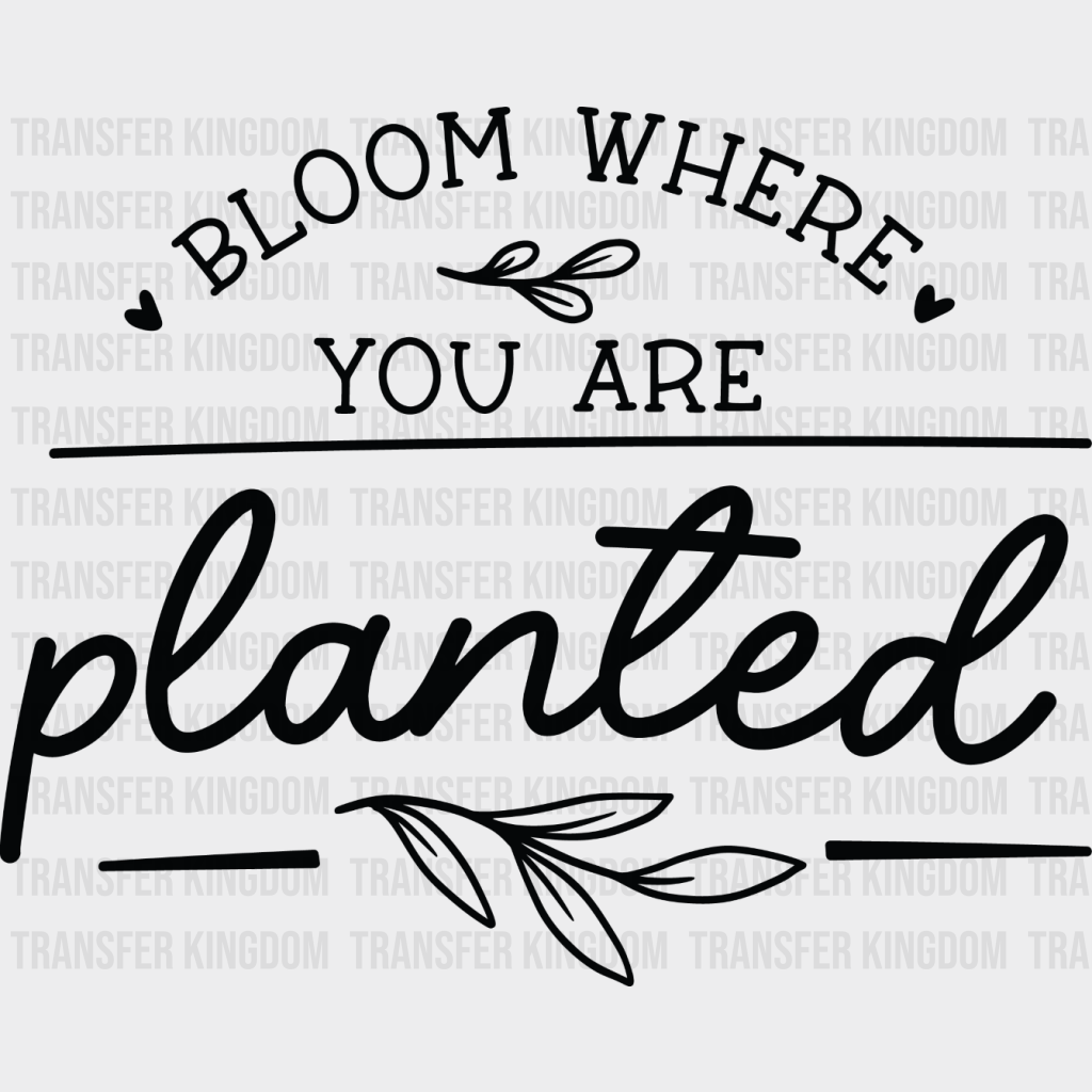 Bloom Where You Are Planted - Plants Dtf Heat Transfer Unisex S & M (10’’) / Dark Color Design