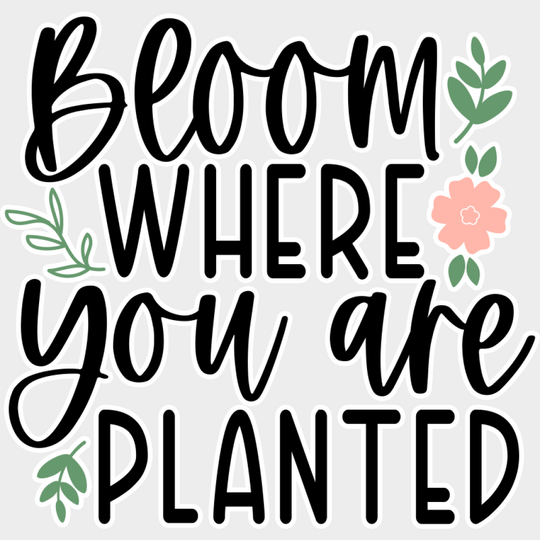 Bloom Where You Are Planted - Spring DTF Transfer Adult Unisex - S & M (10’’) / Light Color Design (See Imaging)