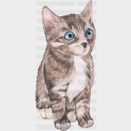 Blue Eyed Cat - Cats DTF Transfer