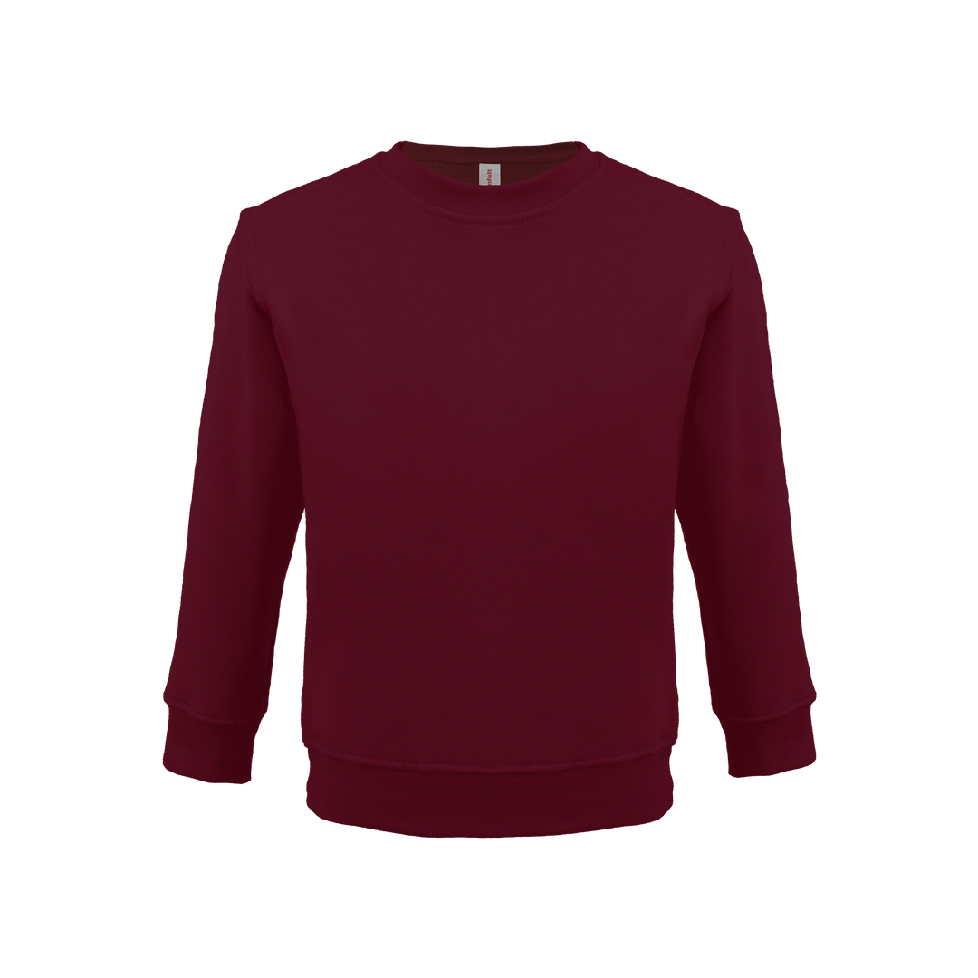Bonita Cotton Soft Style Youth Size Unisex Sweatshirt