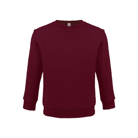 Bonita Cotton Soft Style Youth Size Unisex Sweatshirt