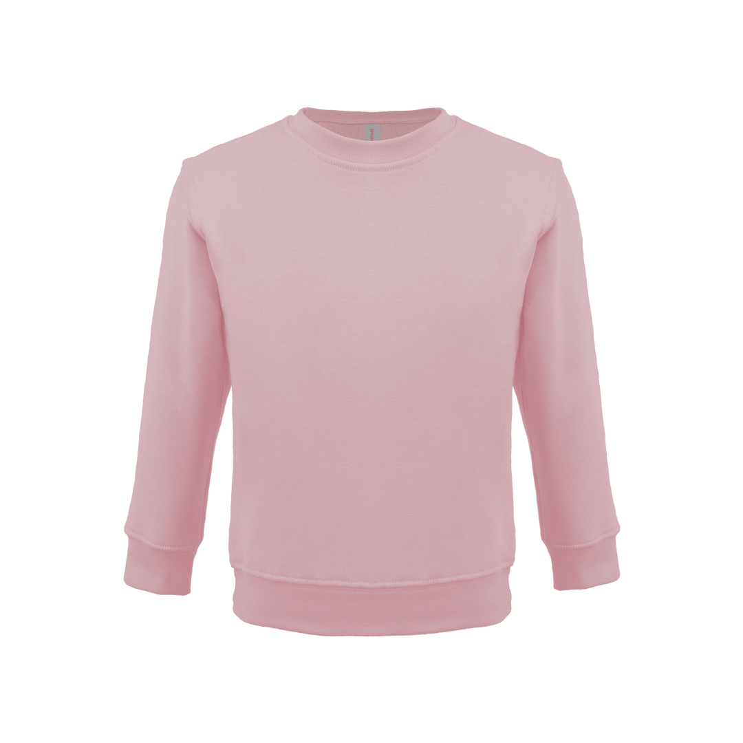 Bonita Cotton Soft Style Youth Size Unisex Sweatshirt