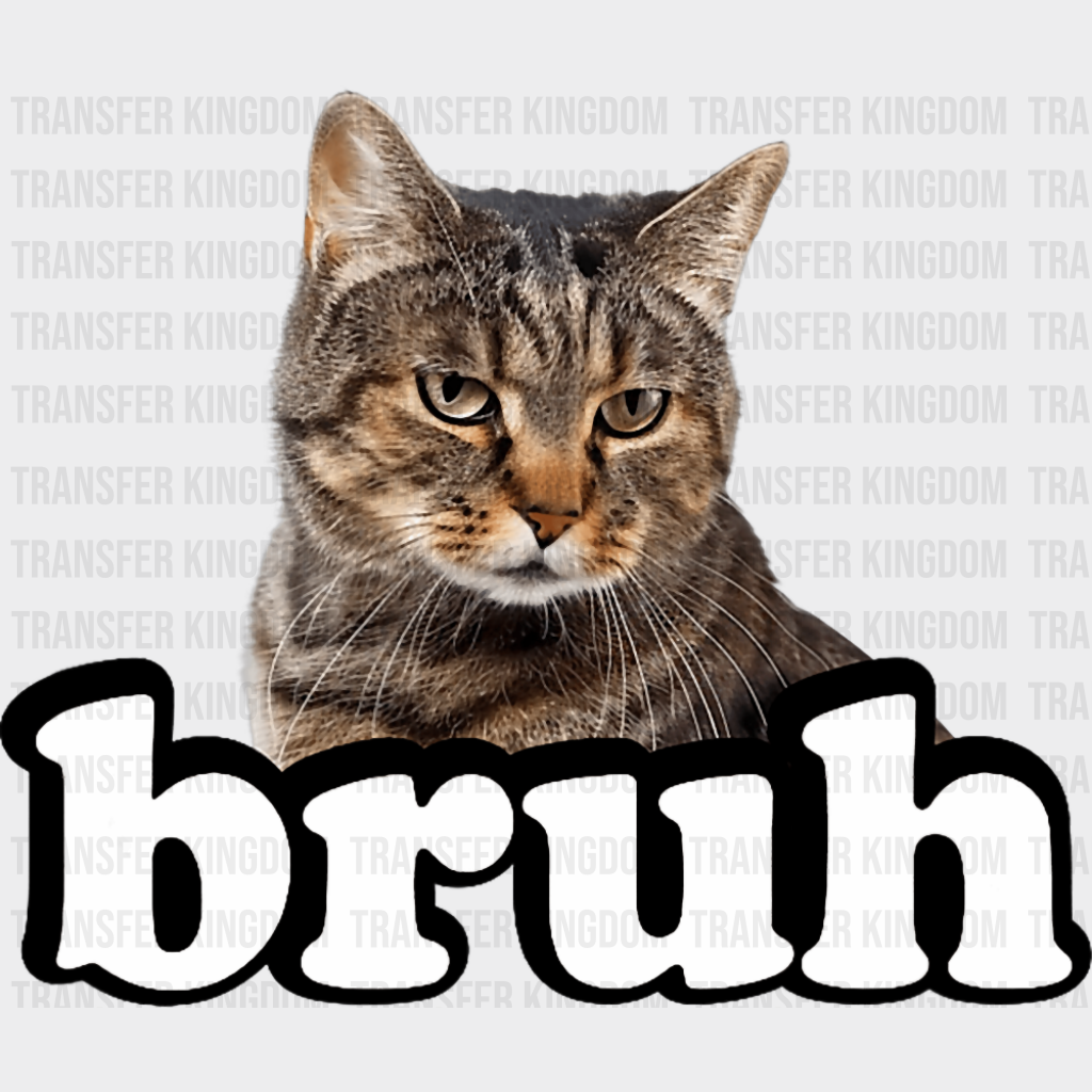 Bruh Gray Tabby Cat - Cats DTF Transfer