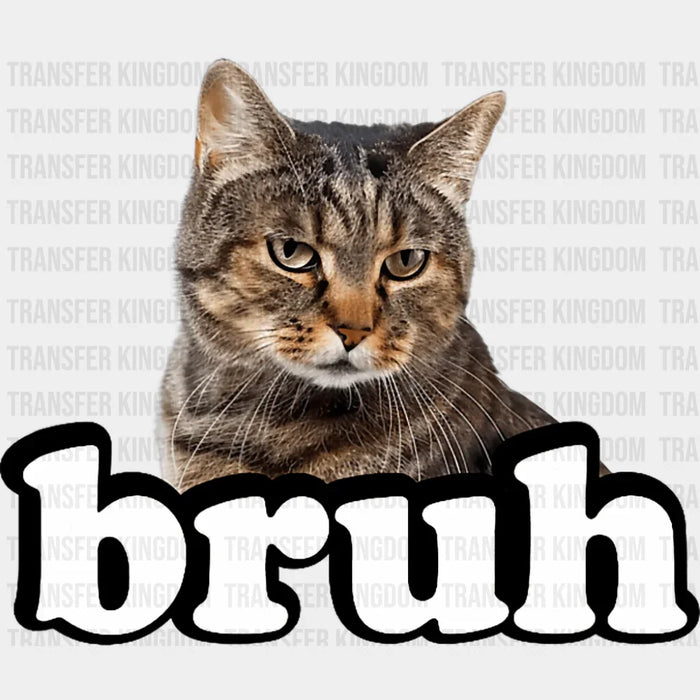 Bruh Gray Tabby Cat - Cats DTF Transfer