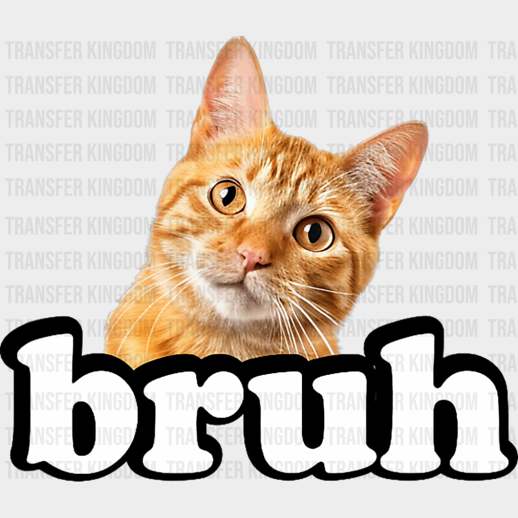 Bruh Orange Tabby Cat - Cats DTF Transfer