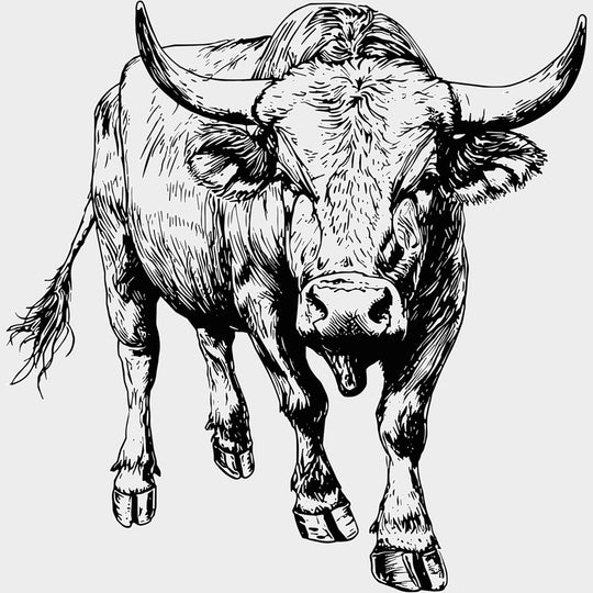 Bull B&W - Animals DTF Transfers - Adult Unisex - S & M (10’’) / Light Color Design (See Imaging)