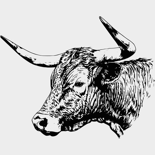 Bull B&W Design - Animals DTF Transfers - Adult Unisex - S & M (10’’) / Light Color Design (See Imaging)