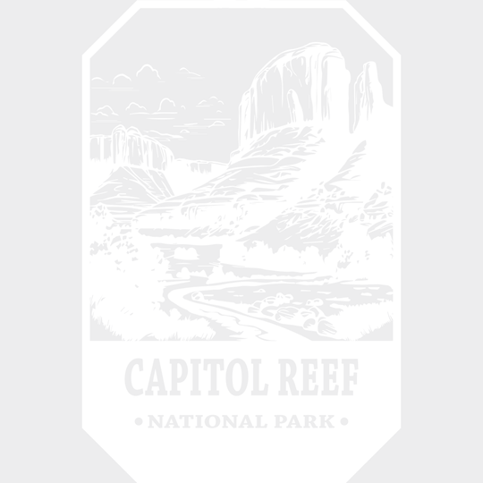 Capitol Reef National Park Design - Parks Dtf Transfers Unisex S & M (10’) / Light Color See Imaging