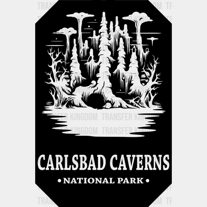 Carlsbad Caverns National Park Black And White Design - National Parks DTF Transfers