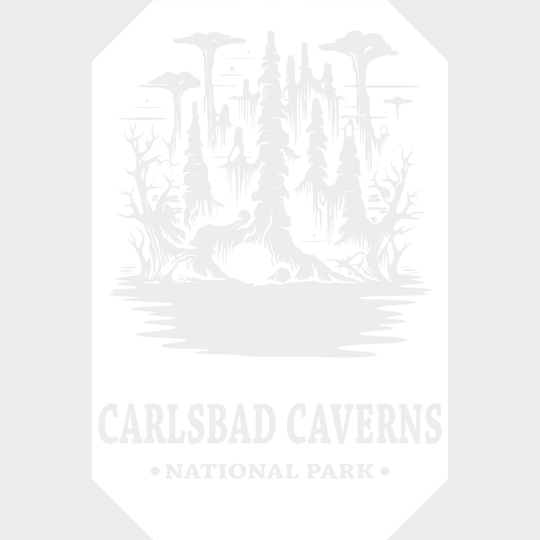 Carlsbad Caverns National Park Design - Parks Dtf Transfers Unisex S & M (10’) / Light Color See