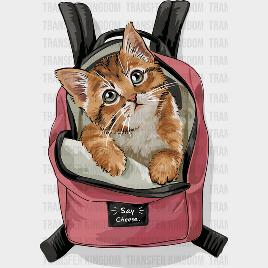 Cat In A Backpack - Cats DTF Transfer