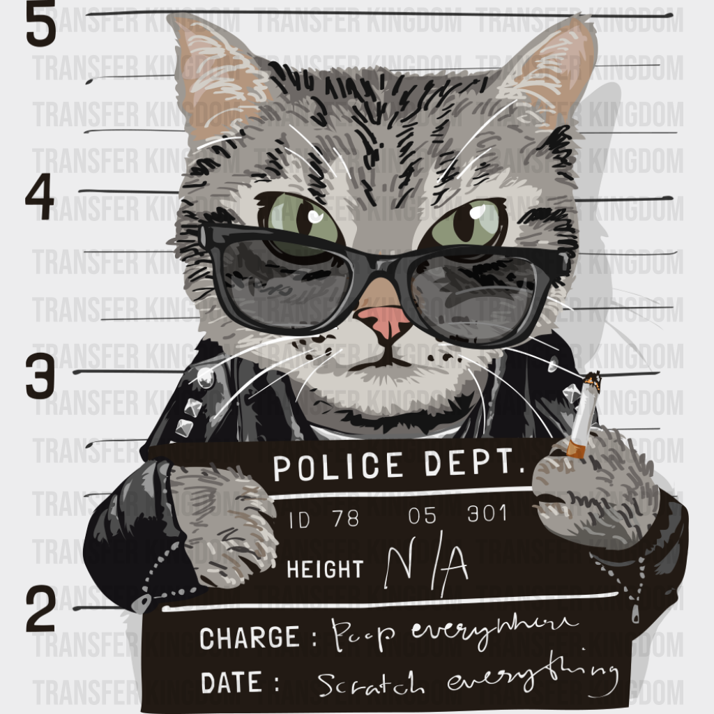 Cat Mugshot - Cats DTF Transfer
