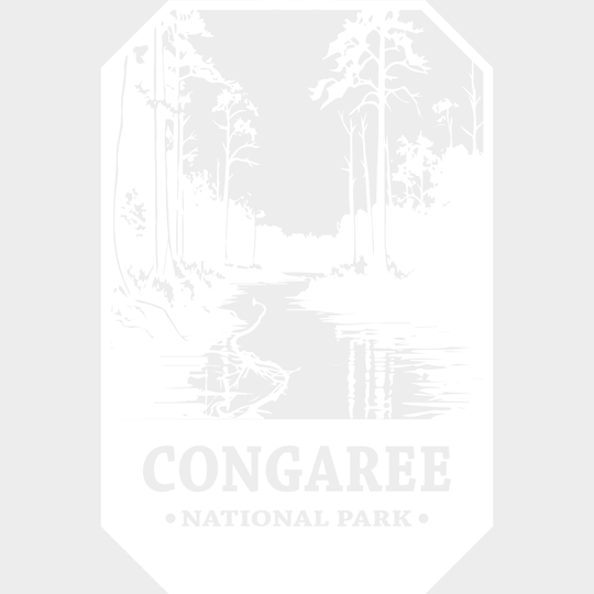 Congaree National Park Design - Parks Dtf Transfers Unisex S & M (10’) / Light Color See Imaging